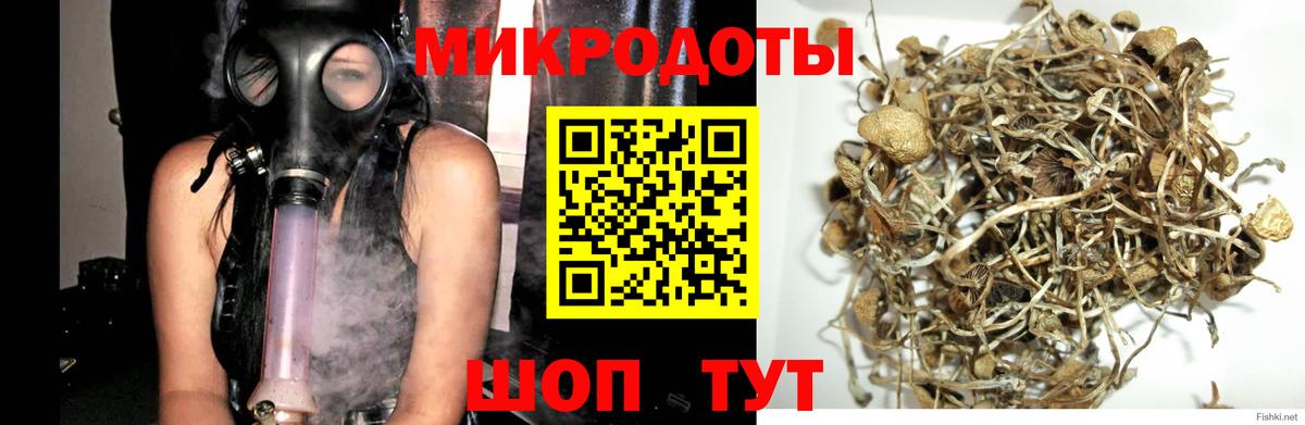 Псилоцибиновые грибы мухоморы Дятьково
